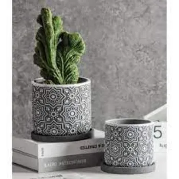 Decorative Plants